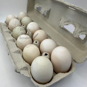 Duck Eggs